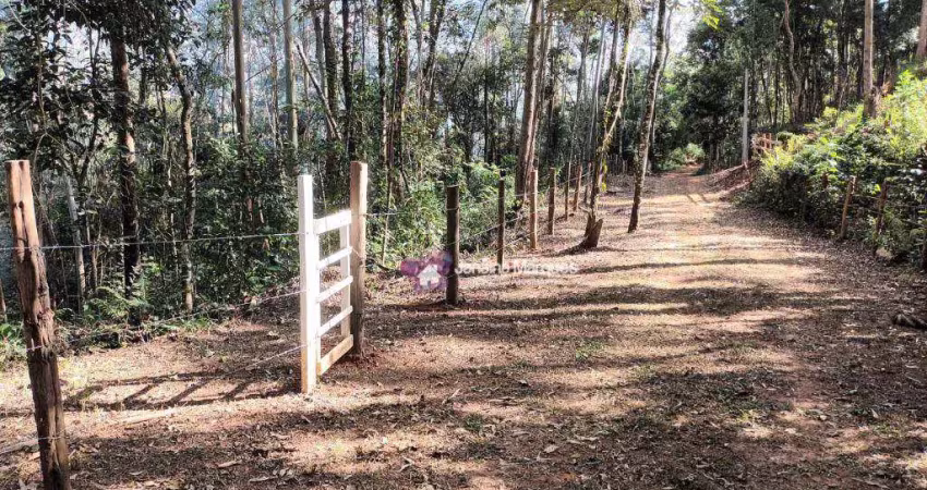 Terreno à venda, 5890 m² por r$ 200.000,00 - bairro da lagoa - araçariguama/sp