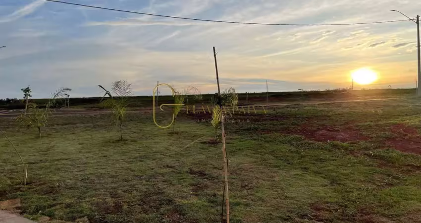 Terreno à venda na AV pedro Duarte Amoroso, 100, Nova Cravinhos, Cravinhos