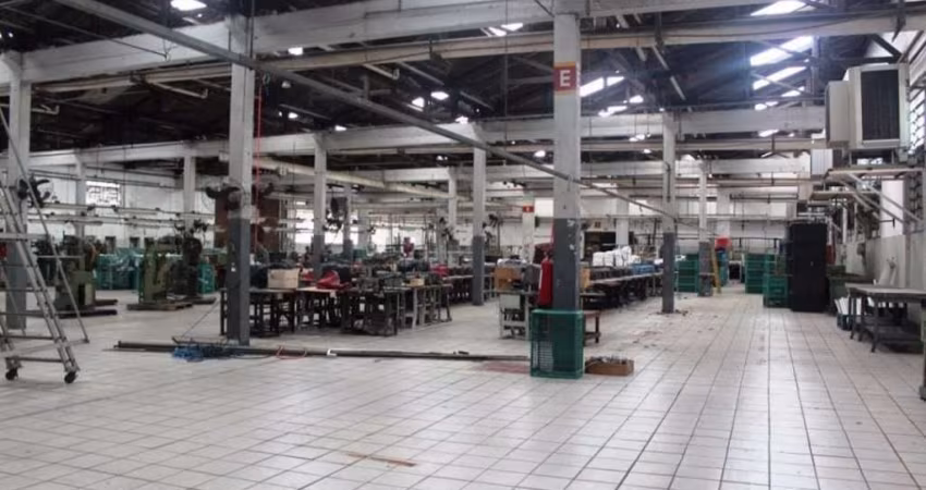 Galpão Comercial, Vila Ribeiro de Barros, São Paulo - GA0025.