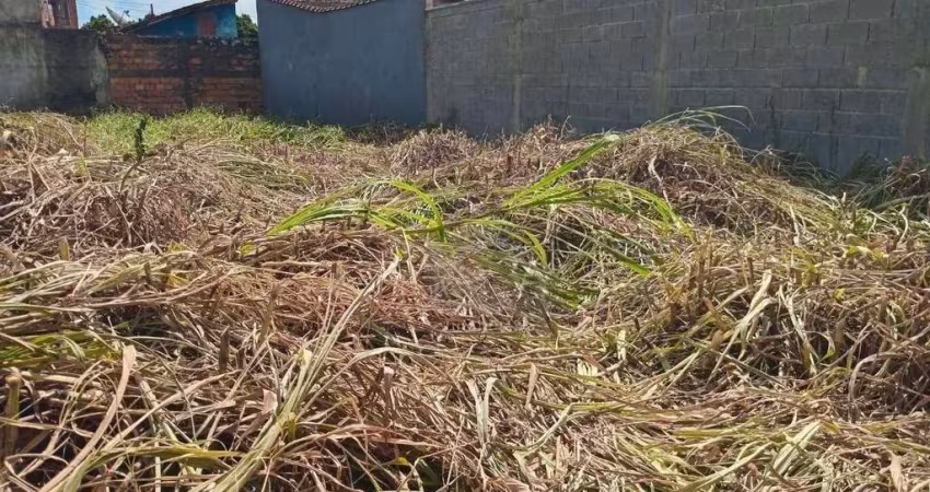 Terreno à venda, 250 m² por r$ 149.000,00 - jardim itaóca - mongaguá/sp