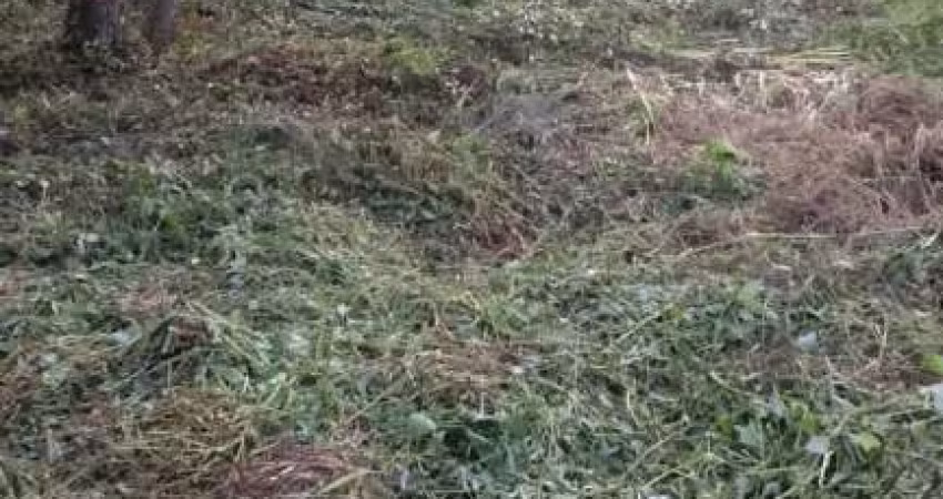 Terreno à venda em Ubatumirim, Ubatuba 