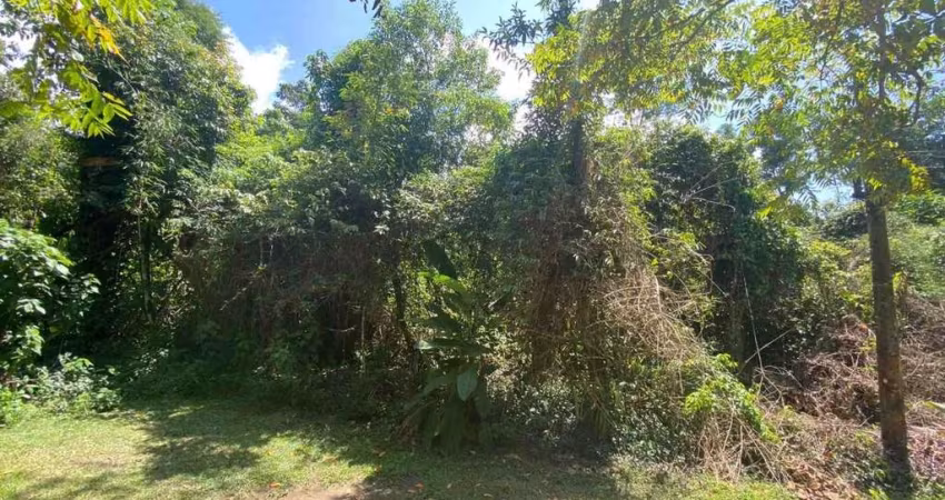 Terreno em condomínio fechado à venda na Praia do Itamambuca, Ubatuba 
