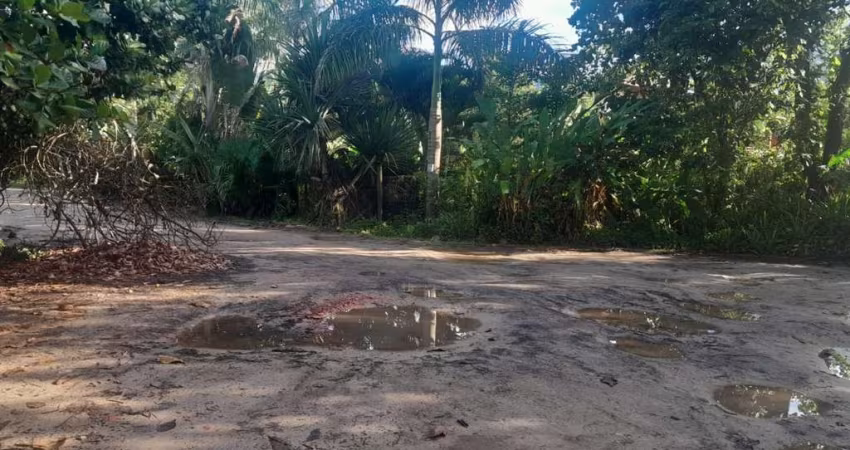 Terreno à venda na Praia do Itamambuca, Ubatuba 