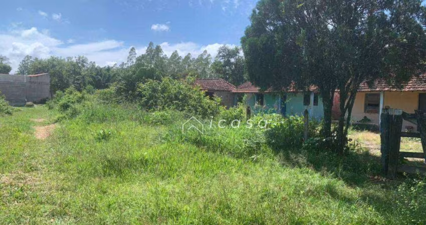 Área à venda, 24200 m² por R$ 350.000,00 - Tataúba - Caçapava/SP