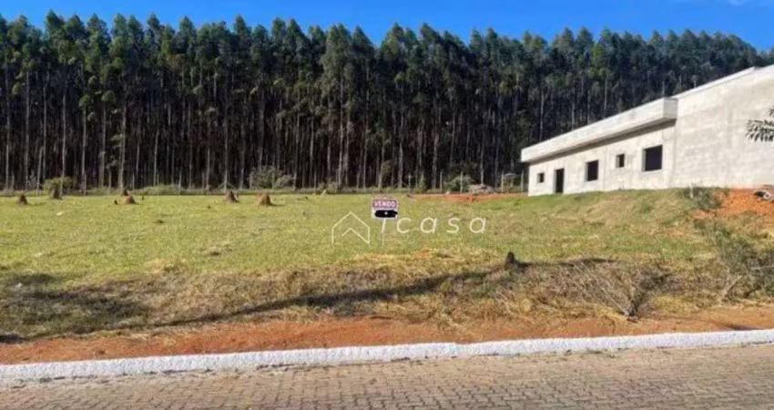 Terreno à venda, 1200 m² por r$ 255.000,00 - caçapava velha - caçapava/sp
