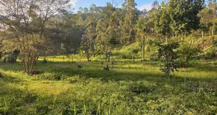 Área à venda, 39370 m² por r$ 400.000,00 - bairro dos forros - monteiro lobato/sp