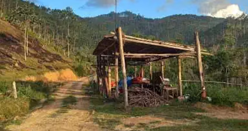 Área à venda, 20000 m² por r$ 300.000,00 - bairro dos forros - monteiro lobato/sp