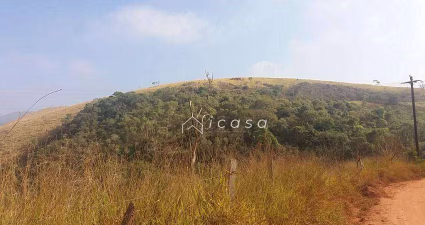 Área à venda, 128.342 m² por R$ 750.000 - Boa Vista - Caçapava/SP