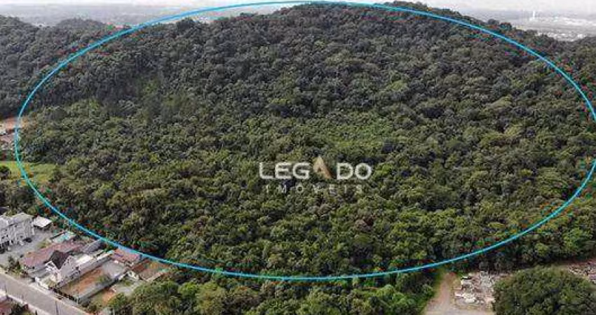 Terreno à venda, 101.000 mil m² por R$ 3.000.000 - Centro (Pirabeiraba) - Joinville/SC
