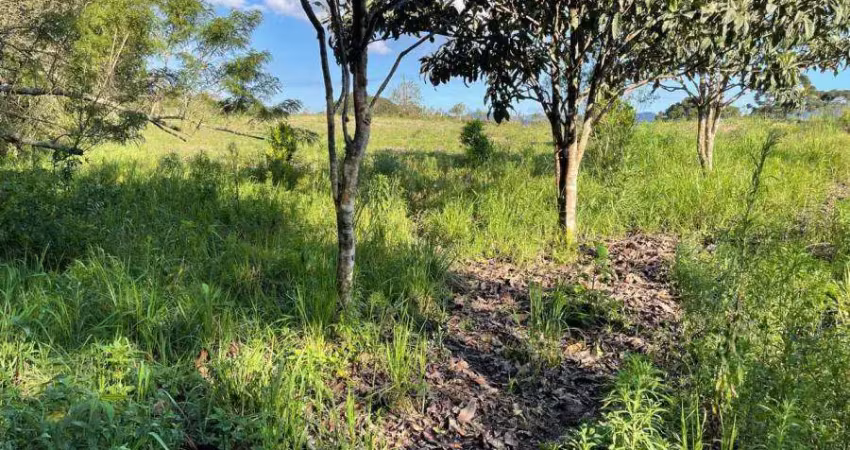 Terreno comercial à venda na Rua principal, 000, Afonso Pena, São José dos Pinhais