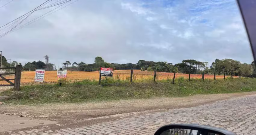Chácara / sítio à venda na Rua Rosa Lass Rattmann, 000, Zona Rural, São José dos Pinhais