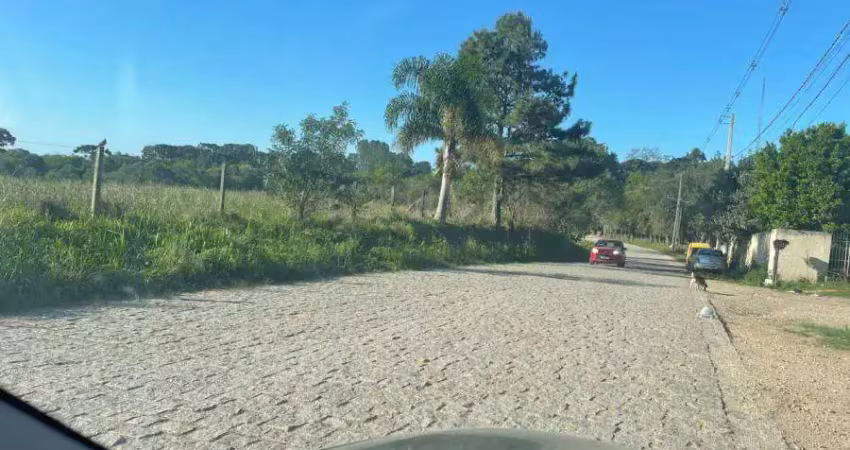 Terreno comercial à venda na Rua Antônio Singer, 00, Campo Largo da Roseira, São José dos Pinhais