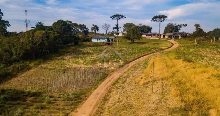 Terreno à venda na RODOVIA 367, 000, Zona Rural, São José dos Pinhais