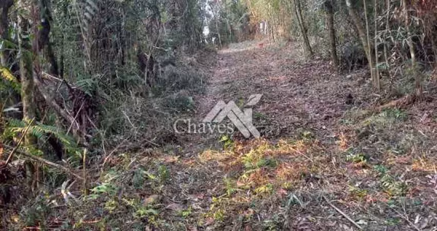 Terreno à venda na BR376, Matulão, Tijucas do Sul