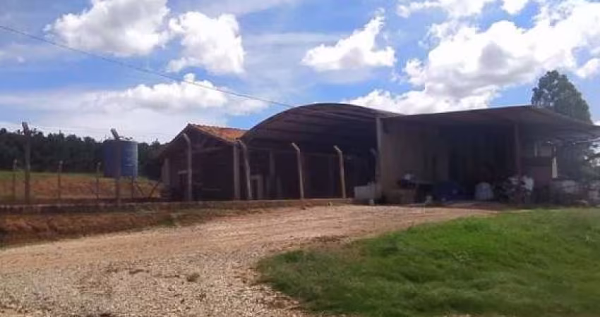 Fazenda com 1 dormitório à venda, 2710400 m² por R$ 32.000.000 - Matão - Buri/São Paulo