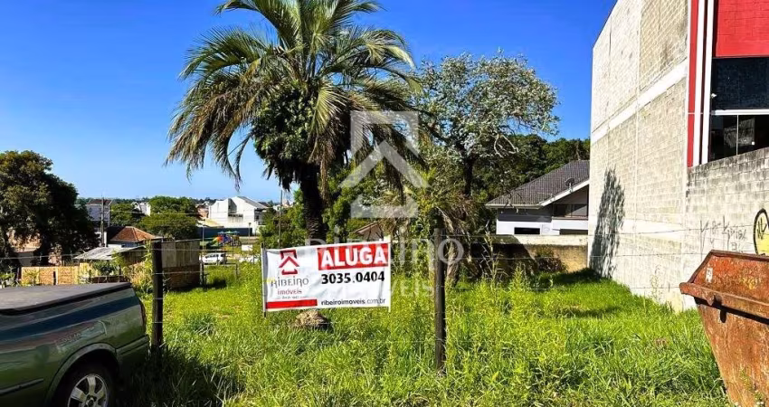 Terreno comercial para alugar na Rua Harry Feeken, 567, Boneca do Iguaçu, São José dos Pinhais