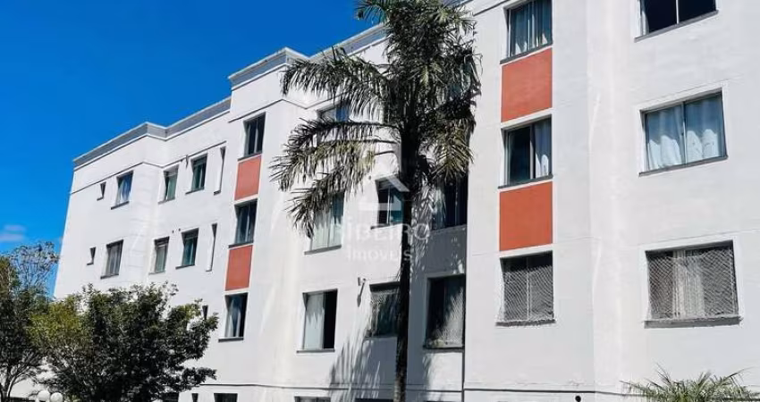 Apartamento com 2 quartos para alugar na Rua Adir Pedroso, 570, Iná, São José dos Pinhais