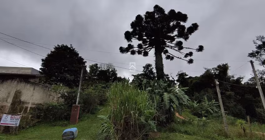 Terreno à venda na Mozart Pereira Garcia, 43, Del Rey, São José dos Pinhais