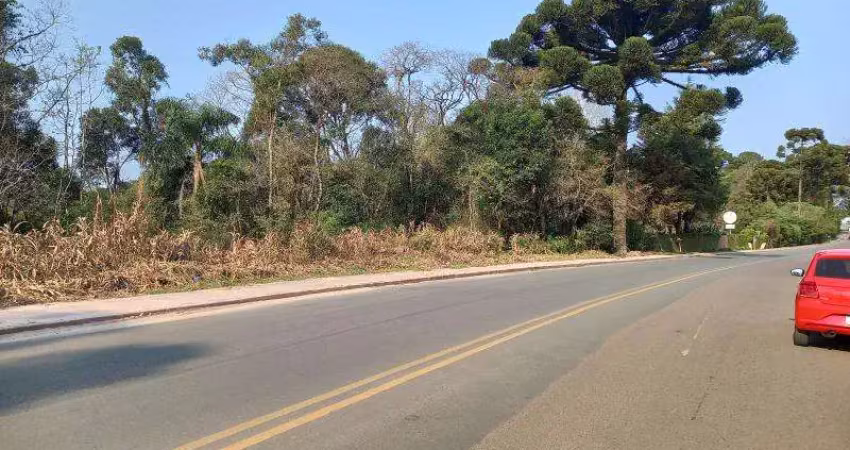 Terreno à venda na AVENIDA WADSLAU BUGALSKI, 3600, Lamenha Grande, Almirante Tamandaré