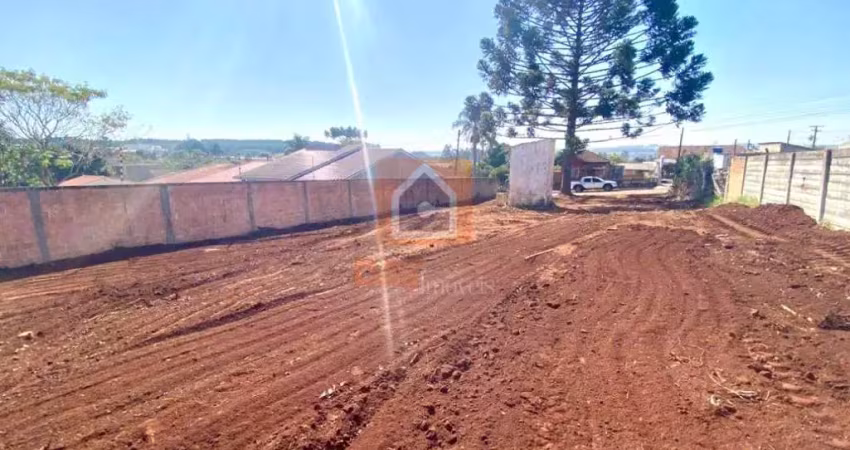 Terreno à venda na Rua Carneiro Ribeiro, s/n, Uvaranas, Ponta Grossa