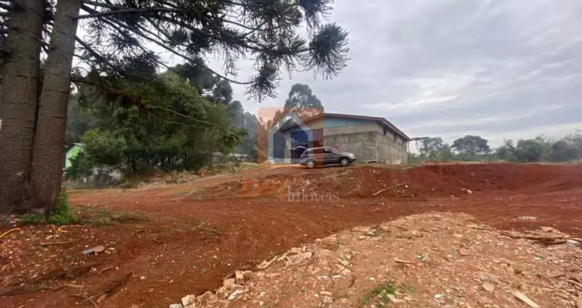 Barracão / Galpão / Depósito para alugar na Rua Dalila Marcondes, s/n, Cará-cará, Ponta Grossa