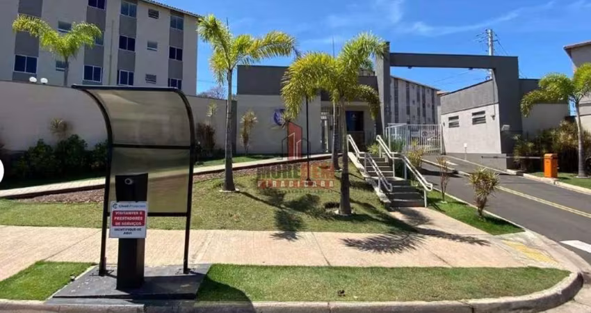 Apto 2 dorms, com quintal