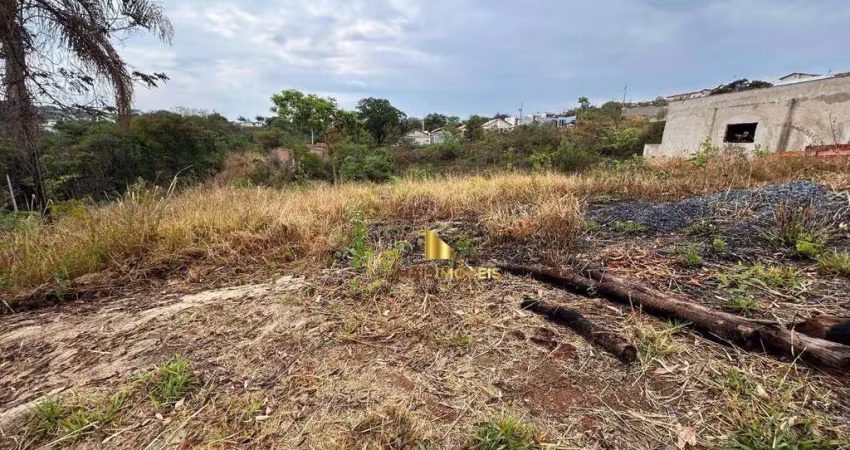 Terreno à venda, 1000 m² por r$ 230.000,00 - shalimar - lagoa santa/mg