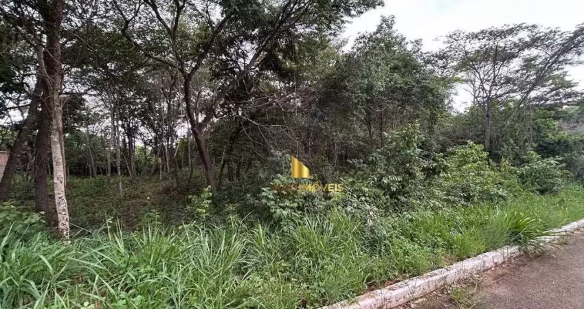 Terreno à venda, 1000 m² por r$ 260.000,00 - lagoa mansões - lagoa santa/mg