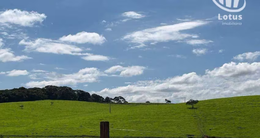 Fazenda à venda, 6580000 m² centro - pouso alegre/mg