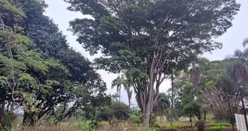 Terreno à venda, 250 m² colinas do castelo - jaguariúna/sp
