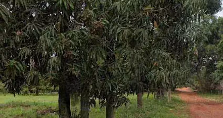 Terreno à venda no Bananal, Campinas 