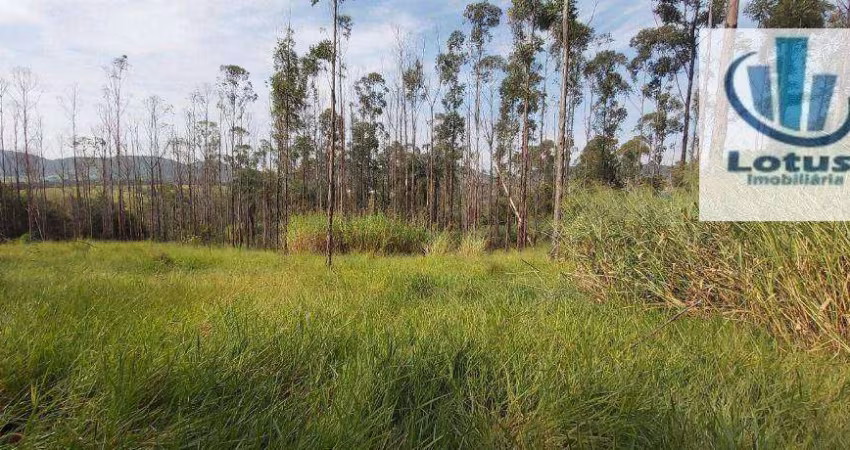 Sítio à venda, 32600 m² por R$ 1.000.000,00 - Centro (Três Pontes) - Amparo/SP