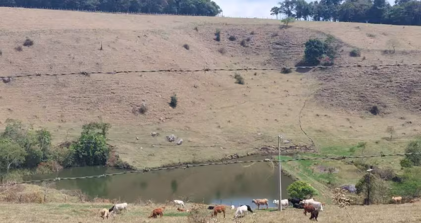 Chácara / sítio à venda no Centro, Divinolândia 