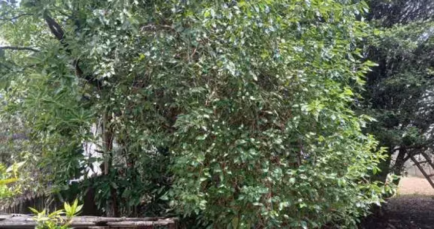 Terreno em condomínio fechado à venda na Vila Togni, Poços de Caldas 