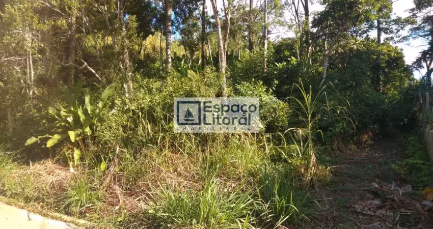 Terreno à venda no Massaguaçu, Caraguatatuba 