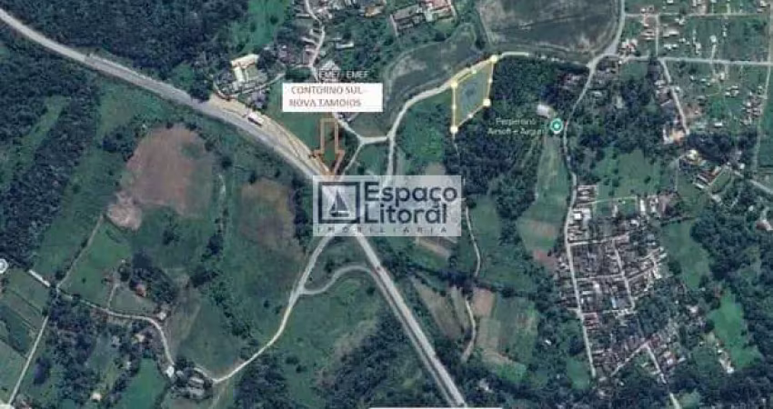 Área à venda zoneamento zmv1 , pegorelli, caraguatatuba, sp