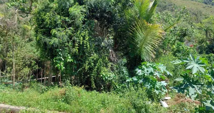 Terreno à venda no São Francisco da Praia, São Sebastião 