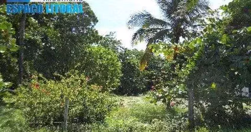 Terreno à venda no Porto Novo, Caraguatatuba 