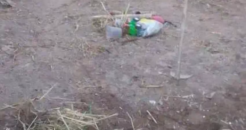 Terreno à venda no Morro do Algodão, Caraguatatuba 