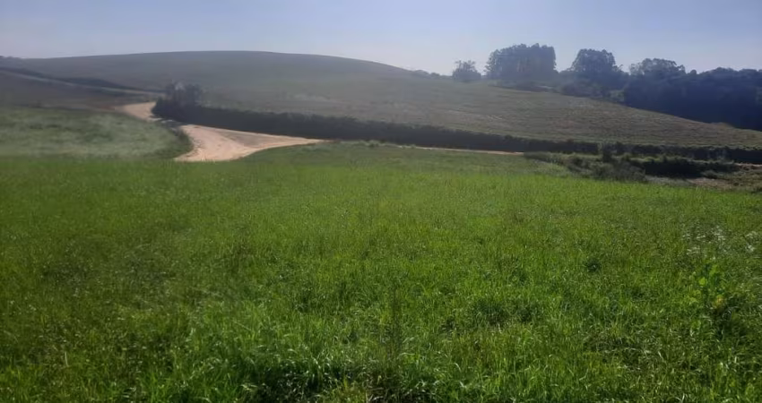 Excelente área de 78.727,62m² (3,26 alqueires ou 7.88 hectares) em Excelente localização a exatos 10 km do Centro de Araucária, a apenas 800m do asfalto - APENAS R$ 1.499.000,00