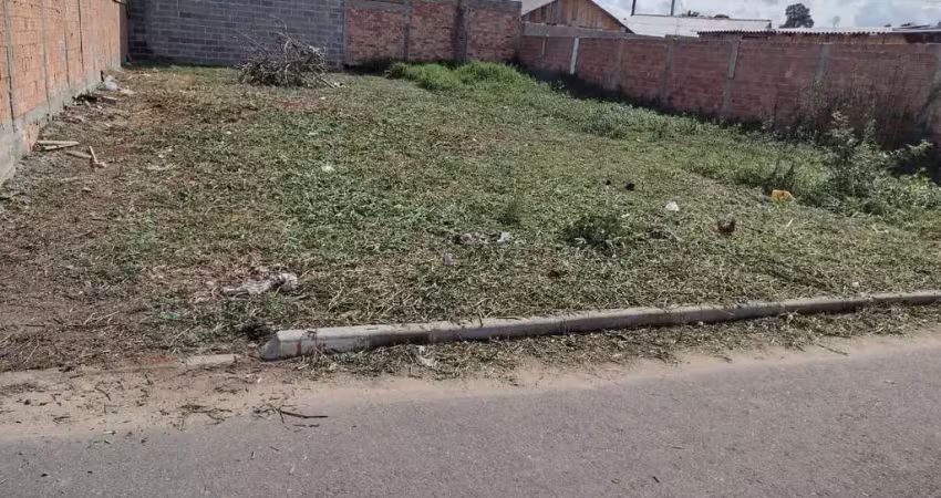 Terreno no capela velha - jardim dos pássaros lote urbano com 140 m² medindo 7x20 plano  rua asfaltada preço à vista - r$ 140.000,00