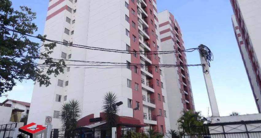 Apartamento à venda 2 quartos 1 suíte 1 vaga Stella - Santo André - SP