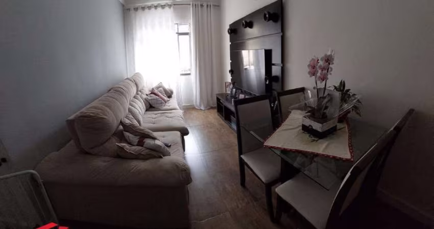 Lindo Apartamento em São Bernardo - Irajá
