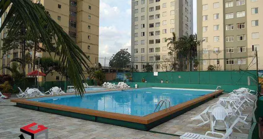 Apartamento à venda 3 quartos 1 suíte 1 vaga terra nova - são bernardo do campo - sp