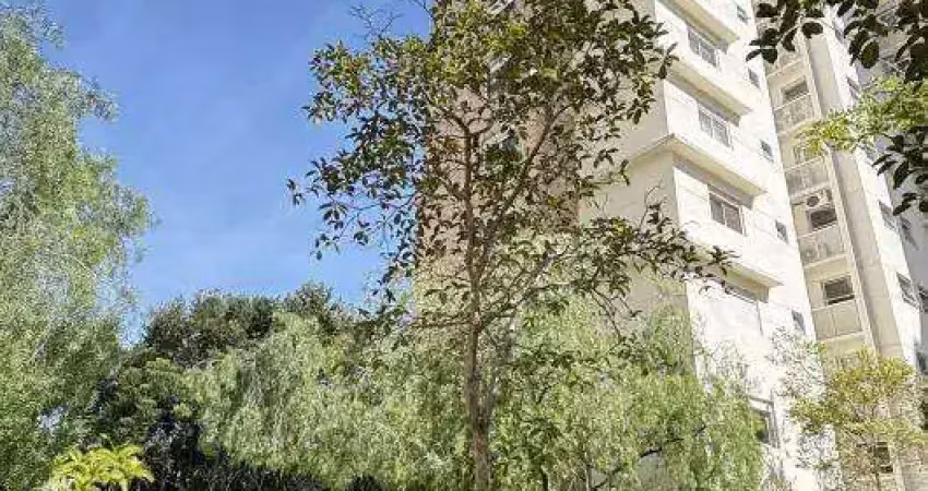 Apartamento em chacara santo antonio (zona sul) 241m2