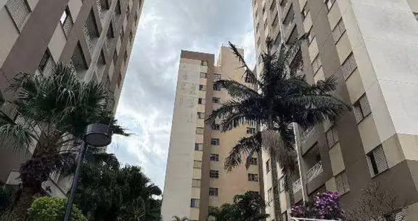 Apartamento à venda 3 quartos 1 vaga baeta neves - são bernardo do campo - sp