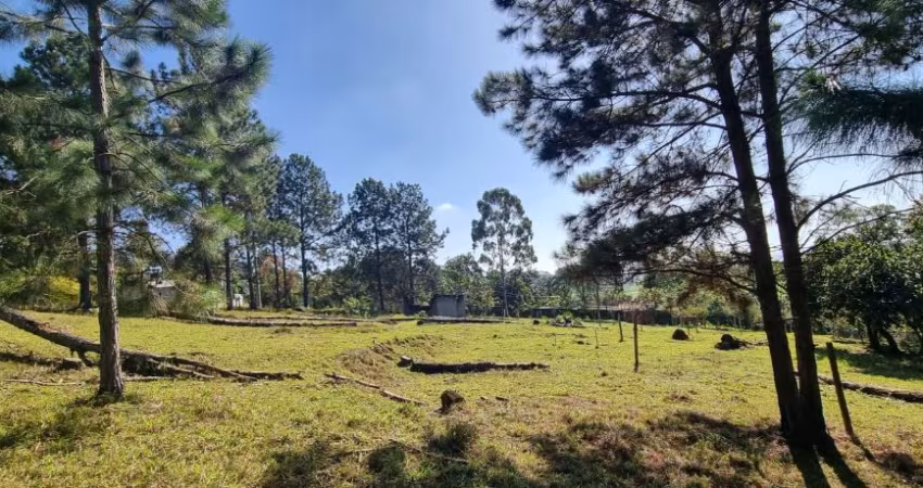 Terreno em Ipelândia Suzano