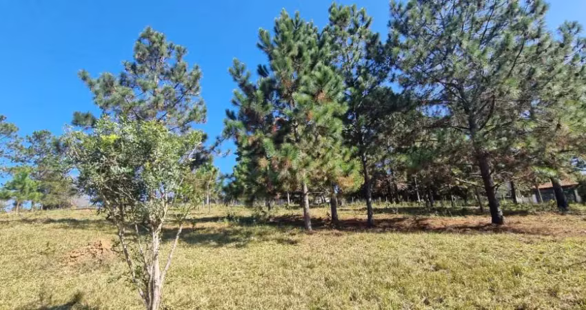 Terreno à venda no Ipelândia, Suzano 