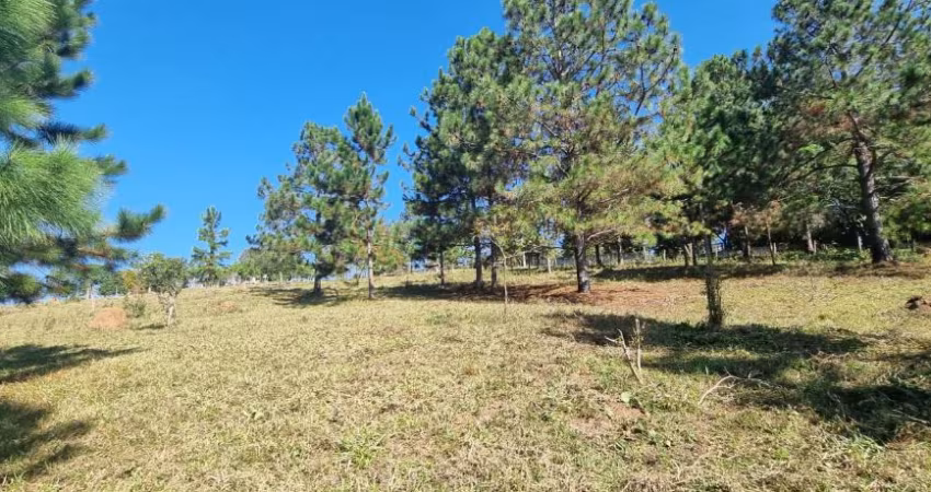 Terreno em Ipelândia Suzano