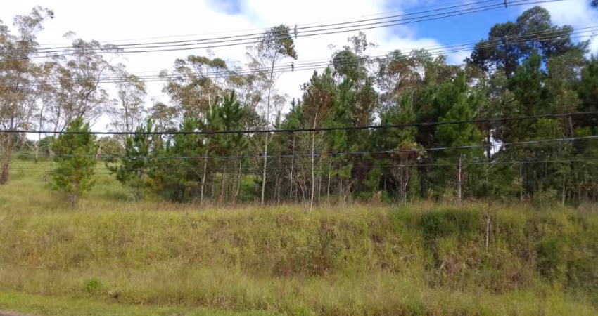 Área comercial em Suzano
